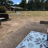 Review photo of South Beach State Park Campground by Lauren A., July 4, 2021