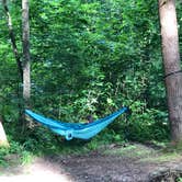 Review photo of Davidson River Campground by Caroline R., July 4, 2021