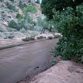 Review photo of Zion Canyon Campground by kristen , July 4, 2021