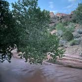 Review photo of Zion Canyon Campground by kristen , July 4, 2021