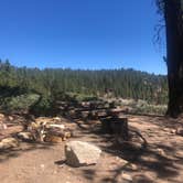Review photo of Mcgill Campground And Group Campground by Kim , July 4, 2021