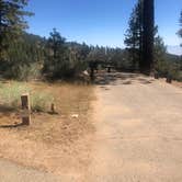 Review photo of Mcgill Campground And Group Campground by Kim , July 4, 2021