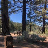 Review photo of Mcgill Campground And Group Campground by Kim , July 4, 2021