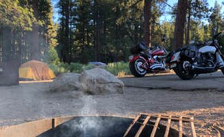 Kim's photo at Barton Flats Family Campground near Angelus Oaks, CA