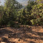 Review photo of Barton Flats Family Campground by Kim , July 4, 2021