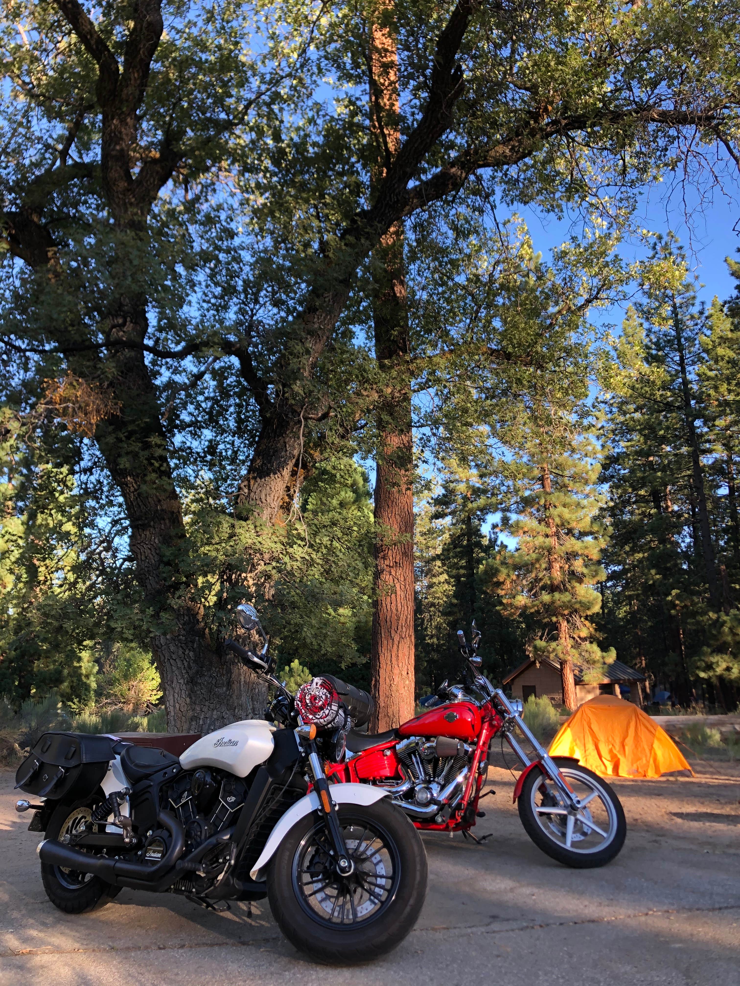 Kim's photo at Barton Flats Family Campground near Big Bear Lake, CA
