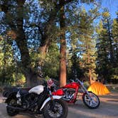 Review photo of Barton Flats Family Campground by Kim , July 4, 2021