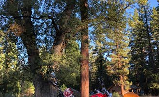 Kim's photo at Barton Flats Family Campground near Forest Falls, CA