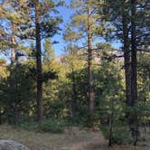 Review photo of Barton Flats Family Campground by Kim , July 4, 2021