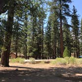 Review photo of Barton Flats Family Campground by Kim , July 4, 2021