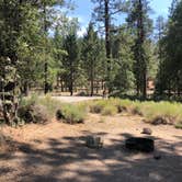 Review photo of Barton Flats Family Campground by Kim , July 4, 2021