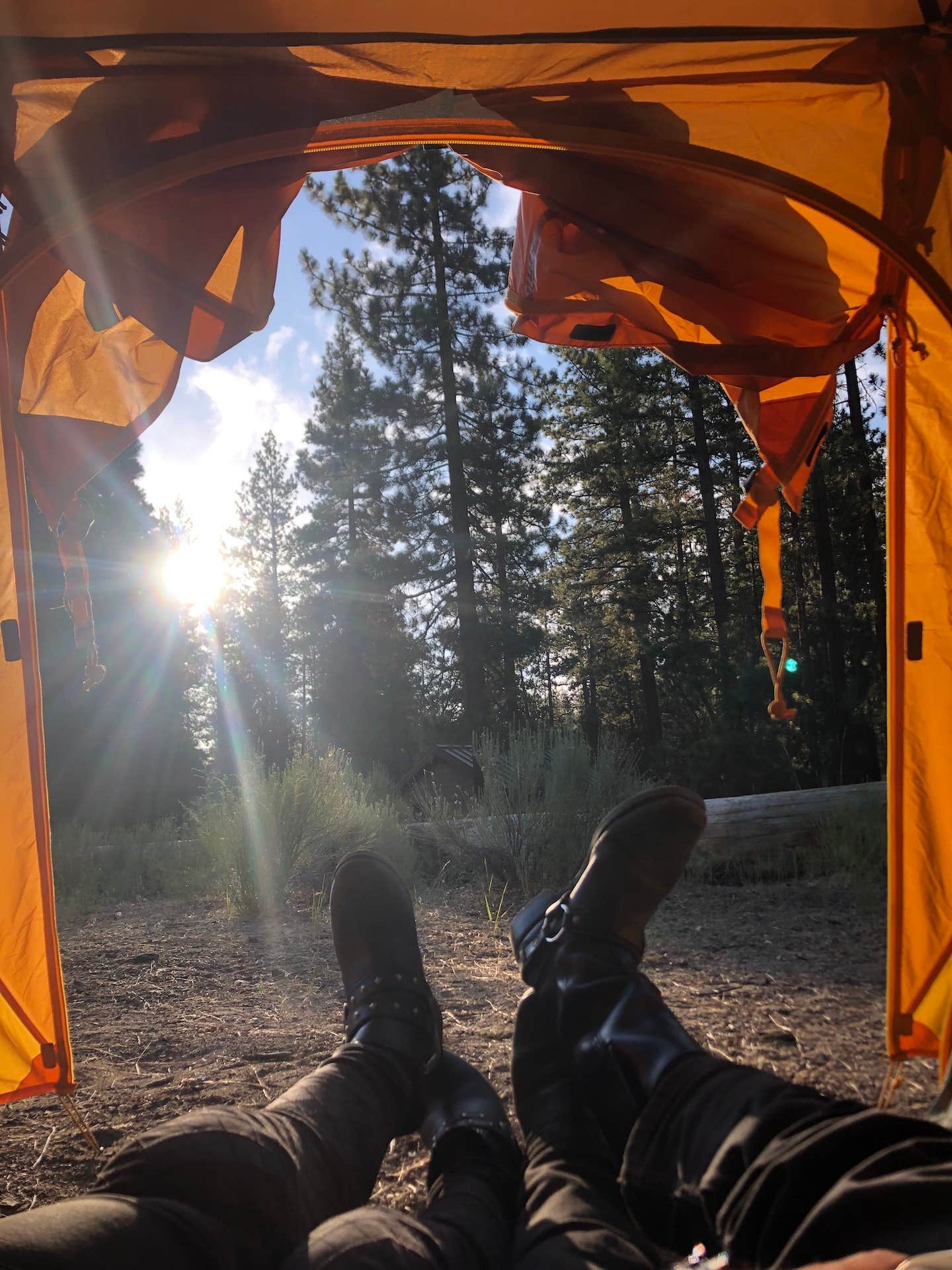 Kim's photo at Barton Flats Family Campground near San Bernardino National Forest