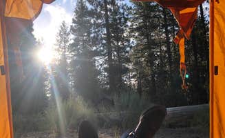 Kim's photo at Barton Flats Family Campground near Forest Falls, CA