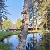 Review photo of Swan Lake Trading Post & Campground by Taryn S., July 4, 2021