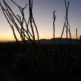 Review photo of Big Bend Backcountry Camping — Big Bend National Park by michael , July 4, 2021