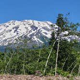 Review photo of Lone Fir Resort by Michael K., July 4, 2021