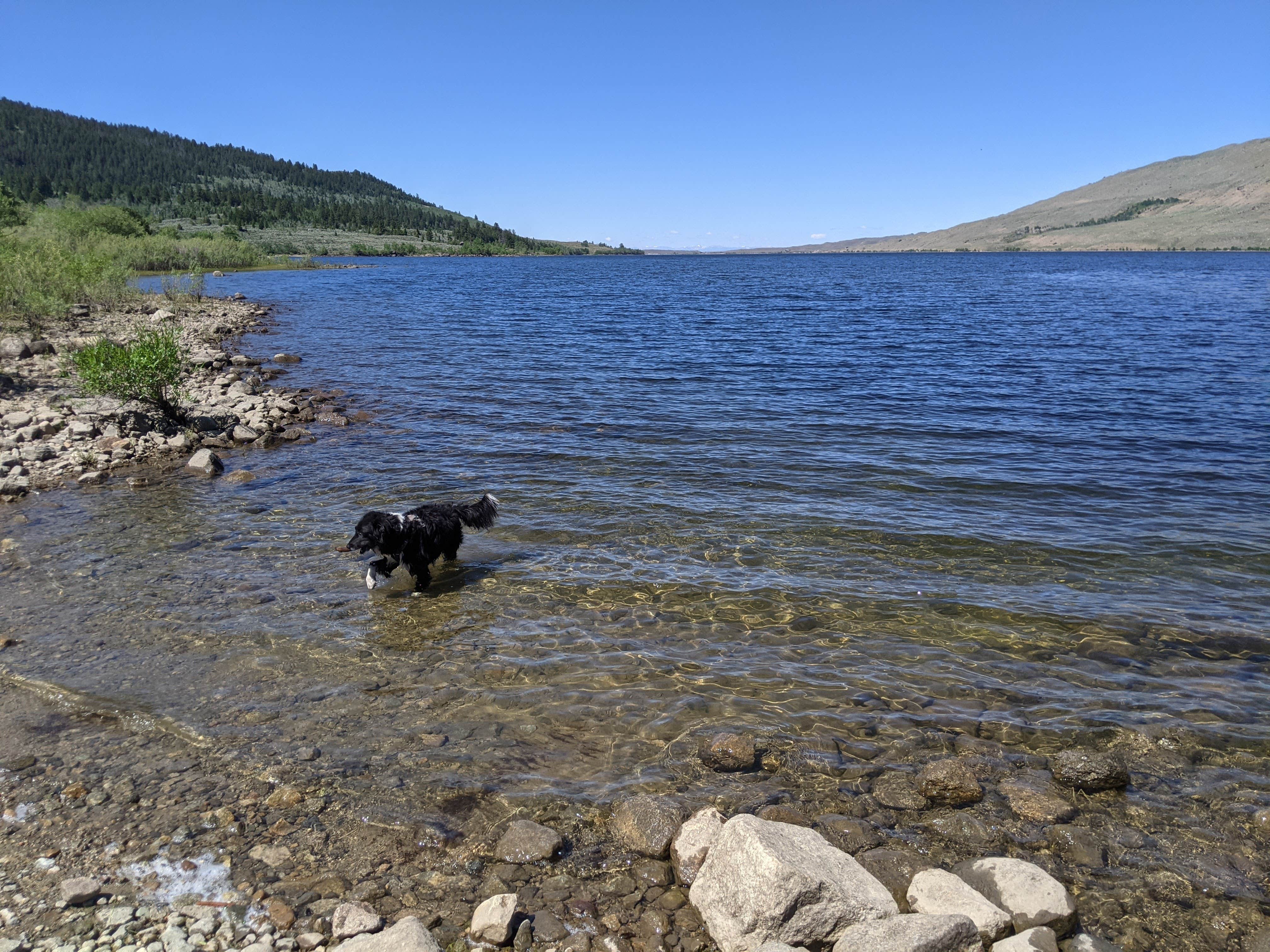 Camper submitted image from Boulder Lake Trail - Trailhead Dispersed Camping - 1