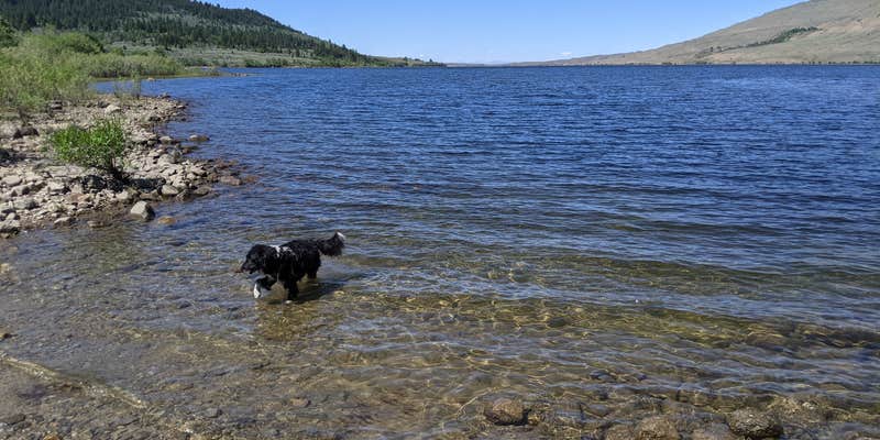 Camper submitted image from Boulder Lake Trail - Trailhead Dispersed Camping