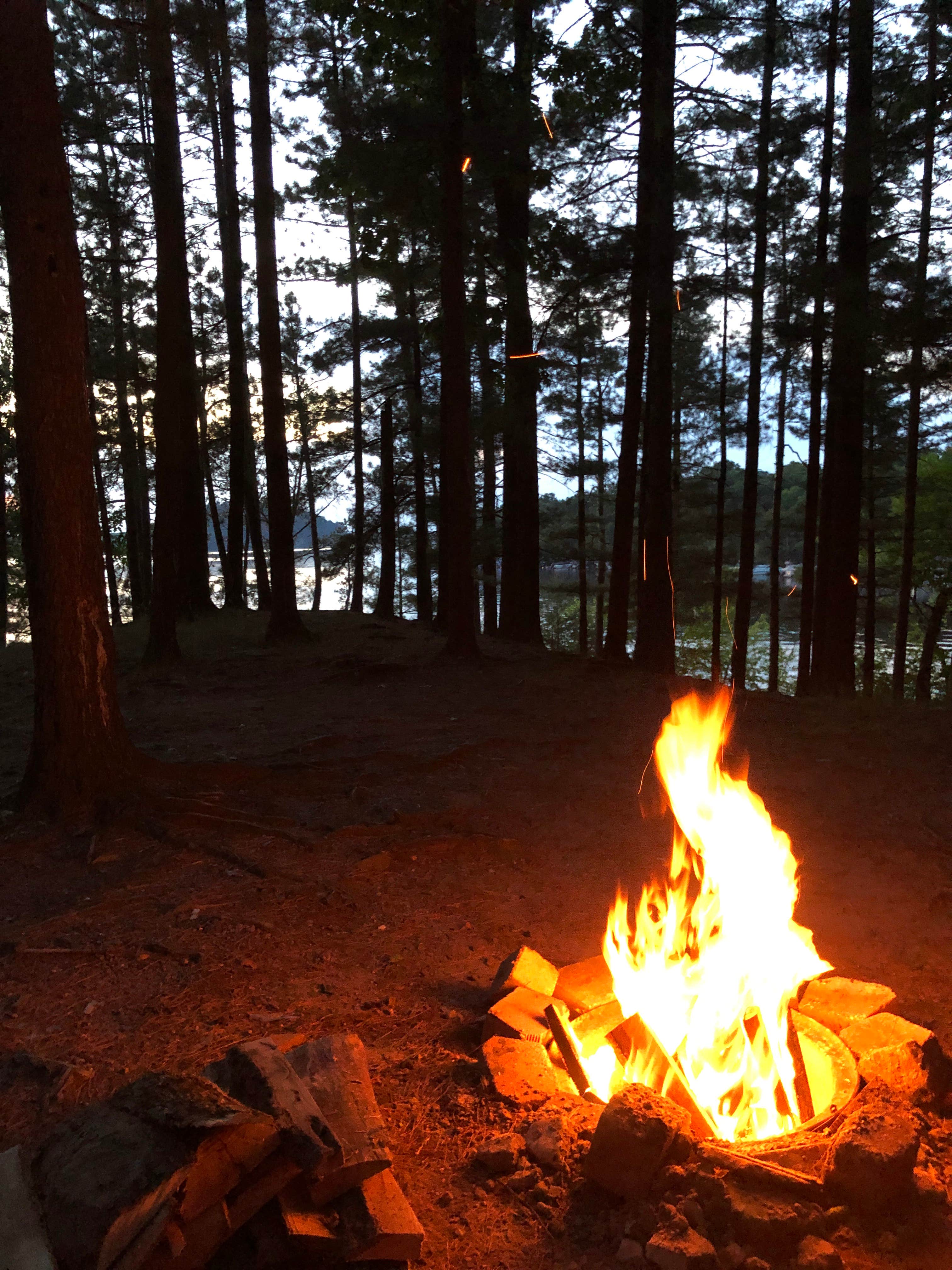 Camper-submitted photo at Holiday Shores Campground near Lake Delton, WI