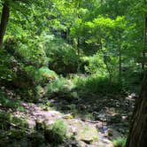 Review photo of Maquoketa Caves State Park Campground by Brian Y., July 4, 2021