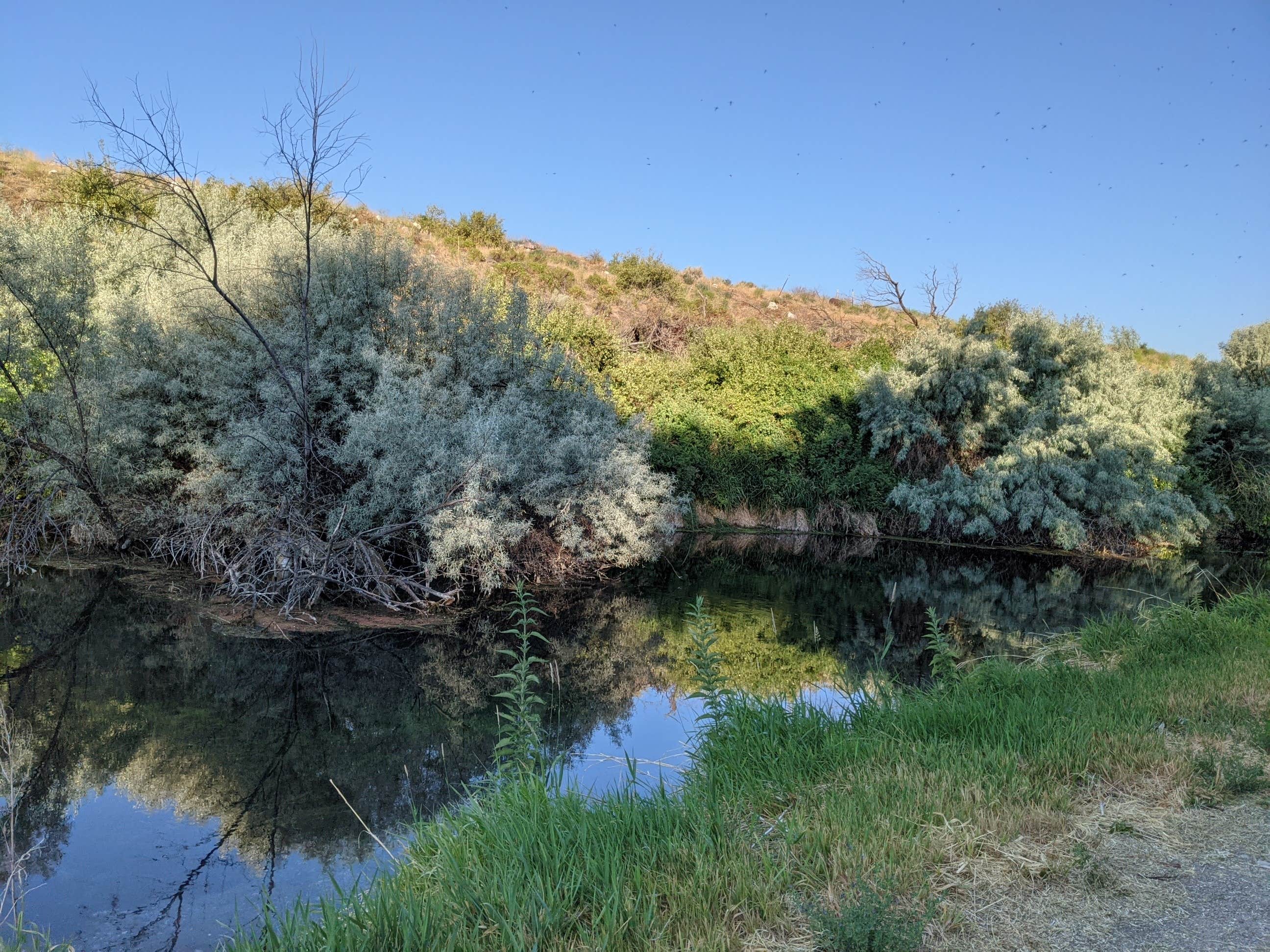 Camper-submitted photo at Batiste Springs RV Park near American Falls, ID