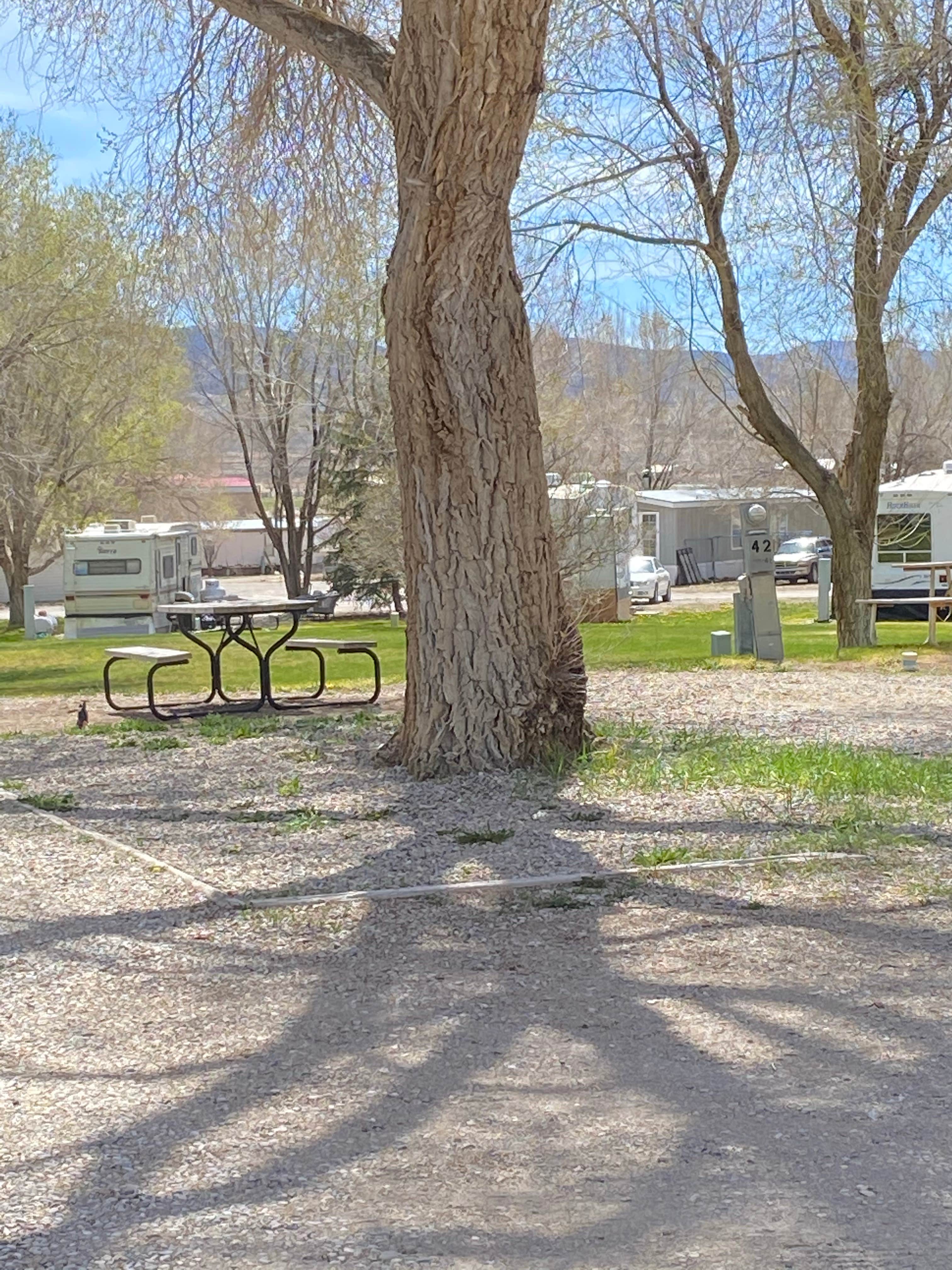 Brittney  C.'s photo of rv camping at Valley View RV & Mobile Home Park near Lund, NV