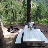 Review photo of Blue Bell Campground — Custer State Park by Jordan B., June 13, 2018