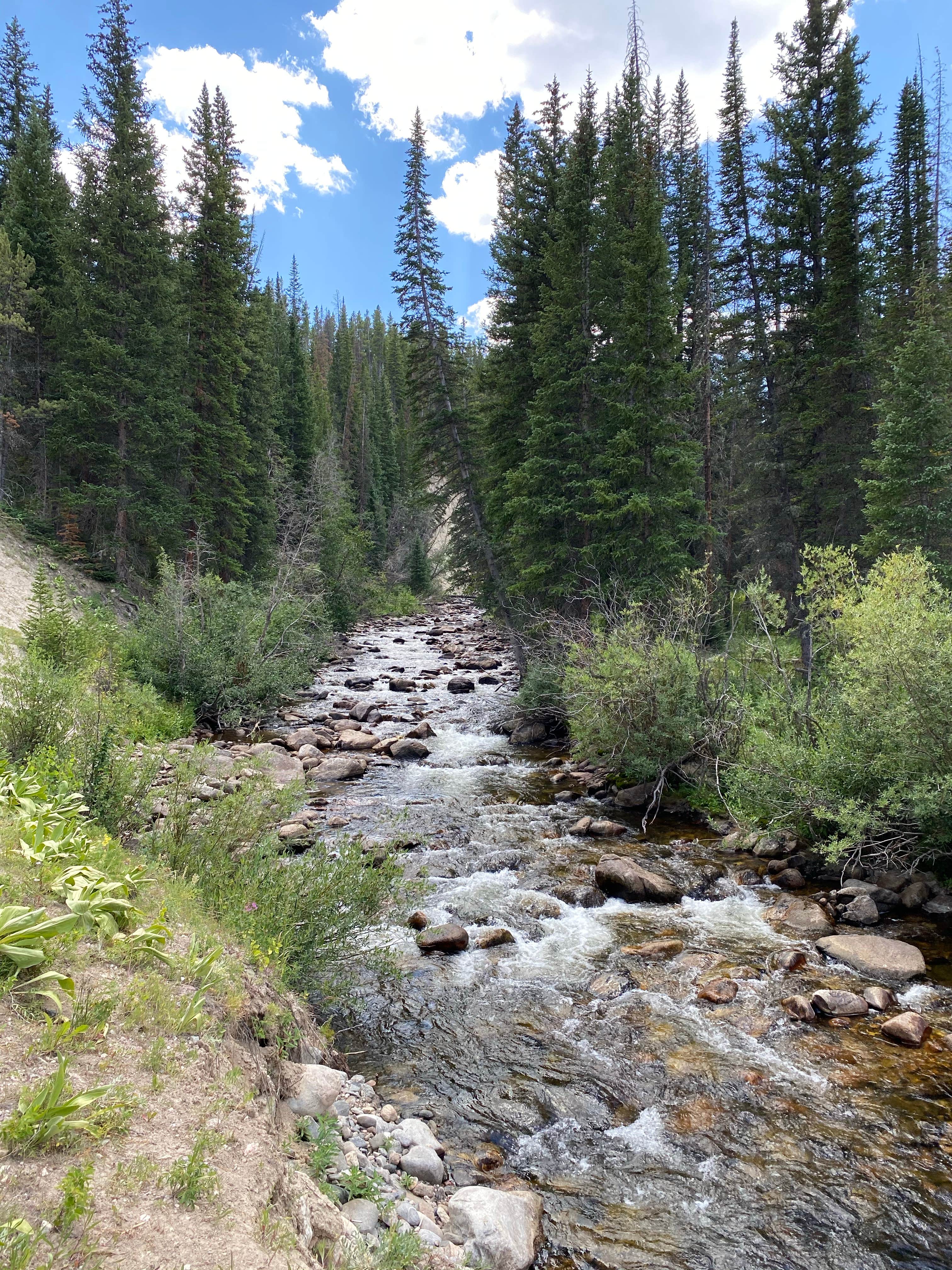 Camper-submitted photo at Chambers Lake Campground near Gould, CO