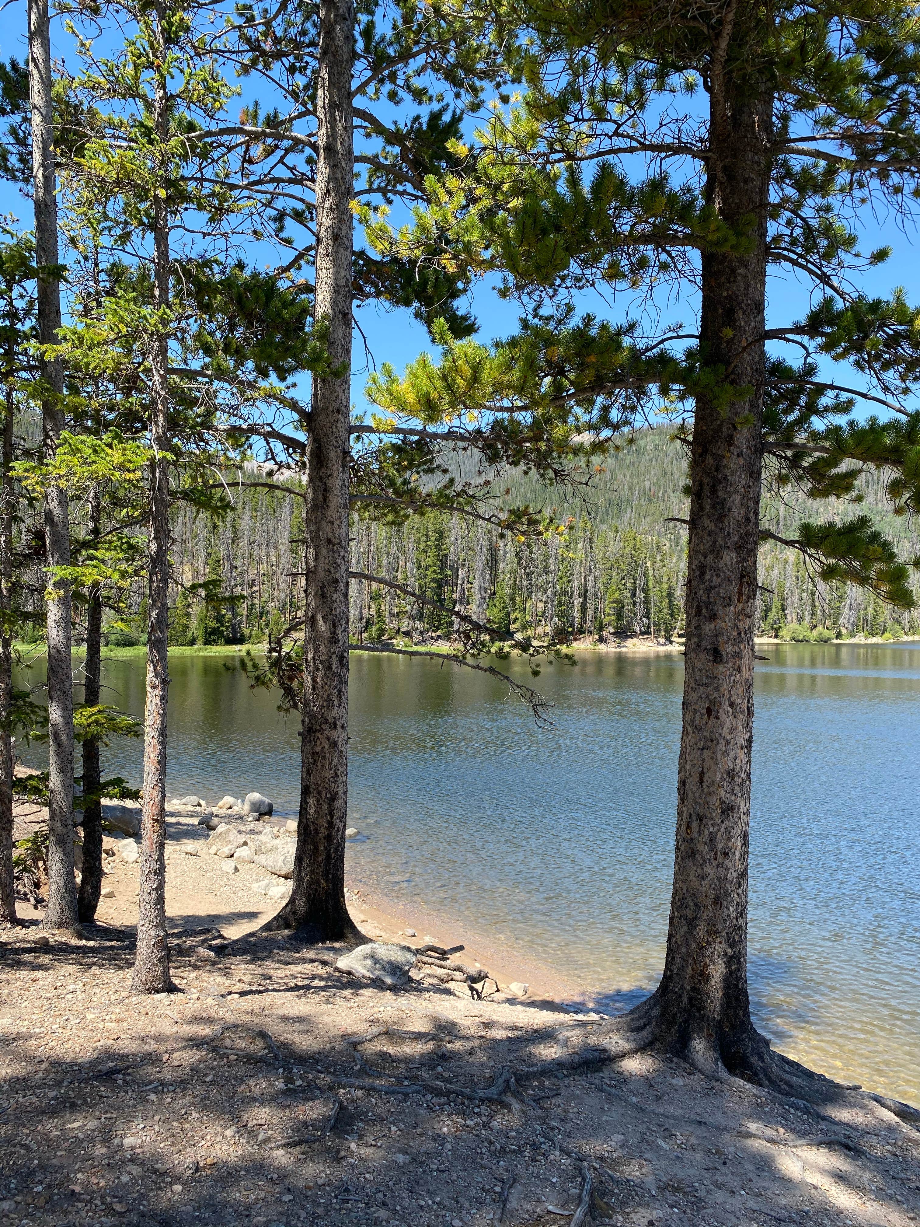 Best camping in Medicine BowRoutt National Forests and Thunder Basin