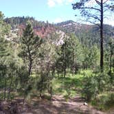 Review photo of Blue Bell Campground — Custer State Park by Jordan B., June 13, 2018