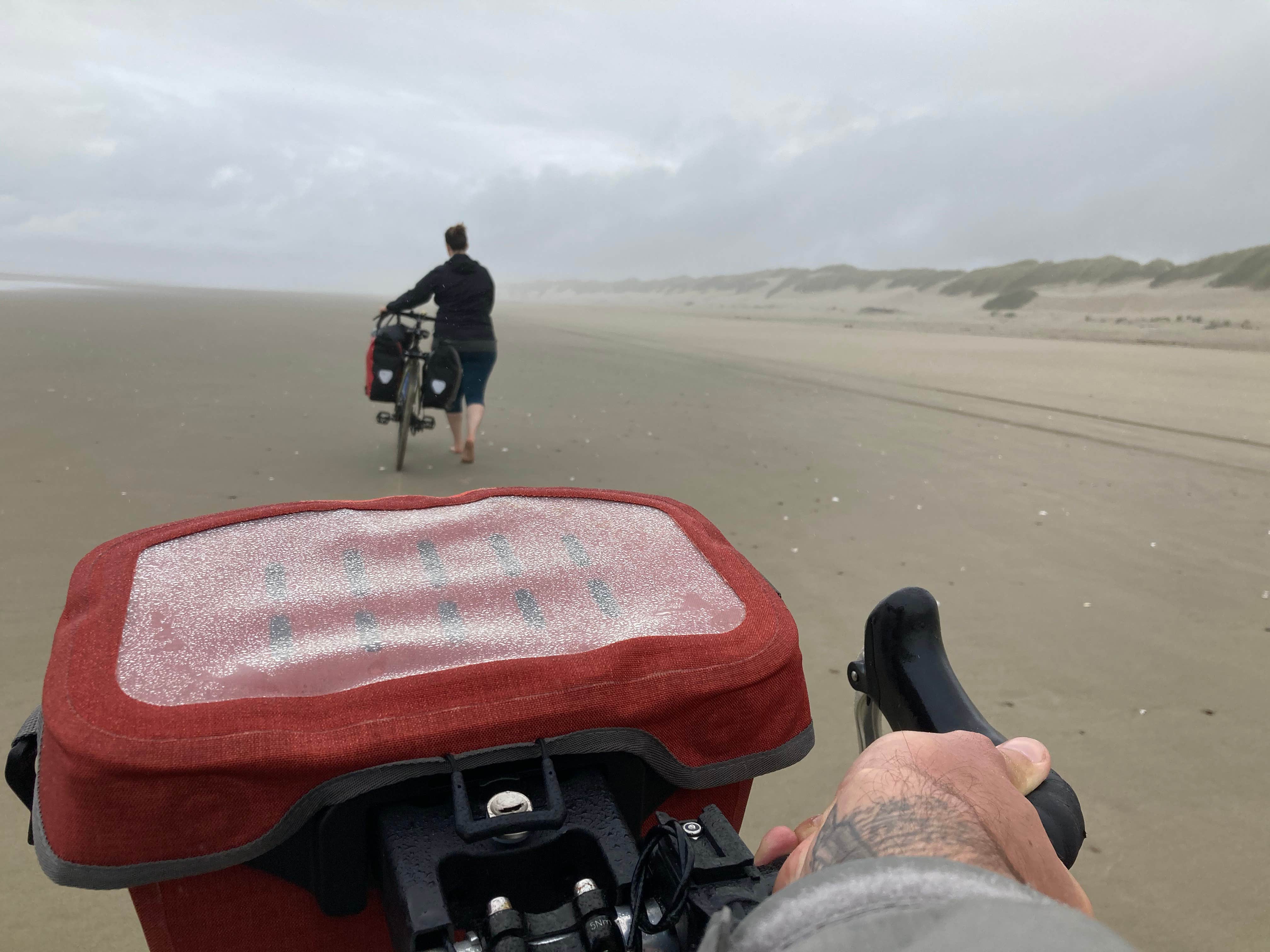 Camper submitted image from South Jetty Sand Camping - 5