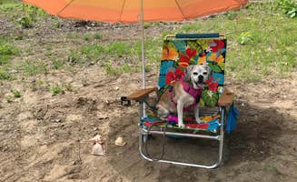 Kelly F.'s photo of camping with pets at Wakeda Campground, LLC near York Beach, ME
