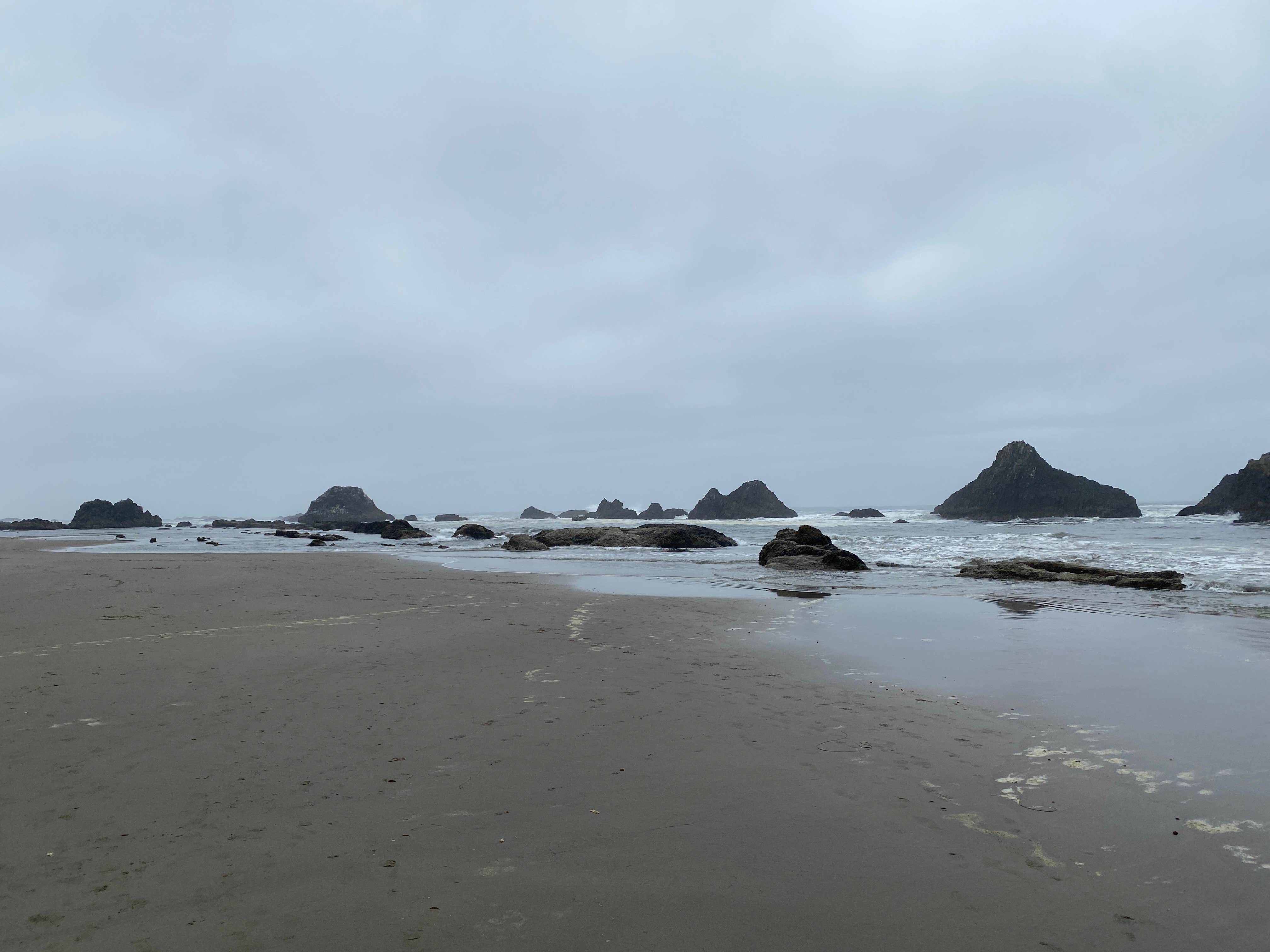 Seal Rocks RV Cove The Dyrt