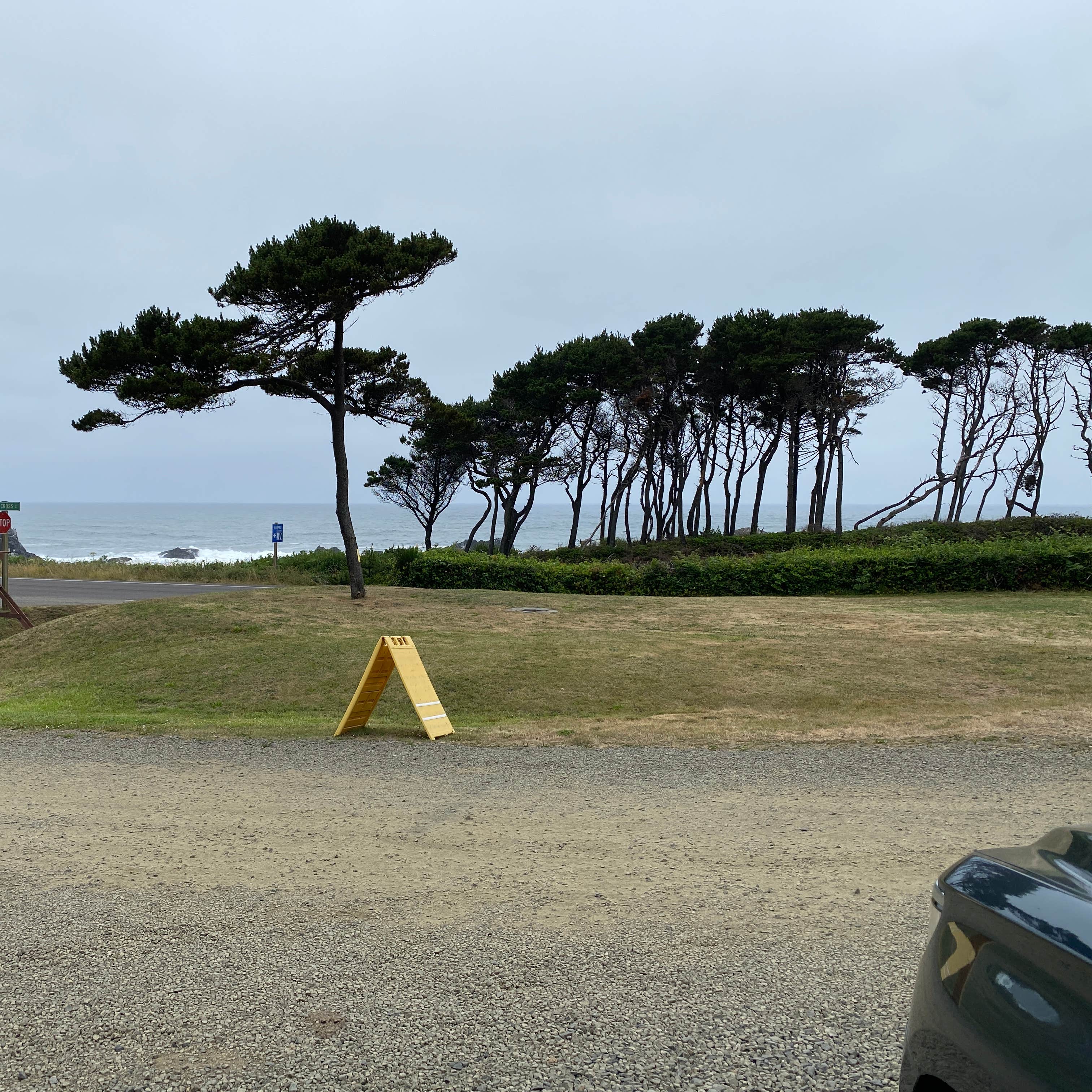 Seal Rocks RV Cove Camping The Dyrt