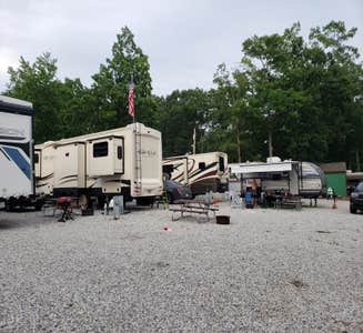 Camper-submitted photo from Shady Pines Campground