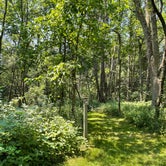 Review photo of Thomas Woods Campground by robert M., July 4, 2021