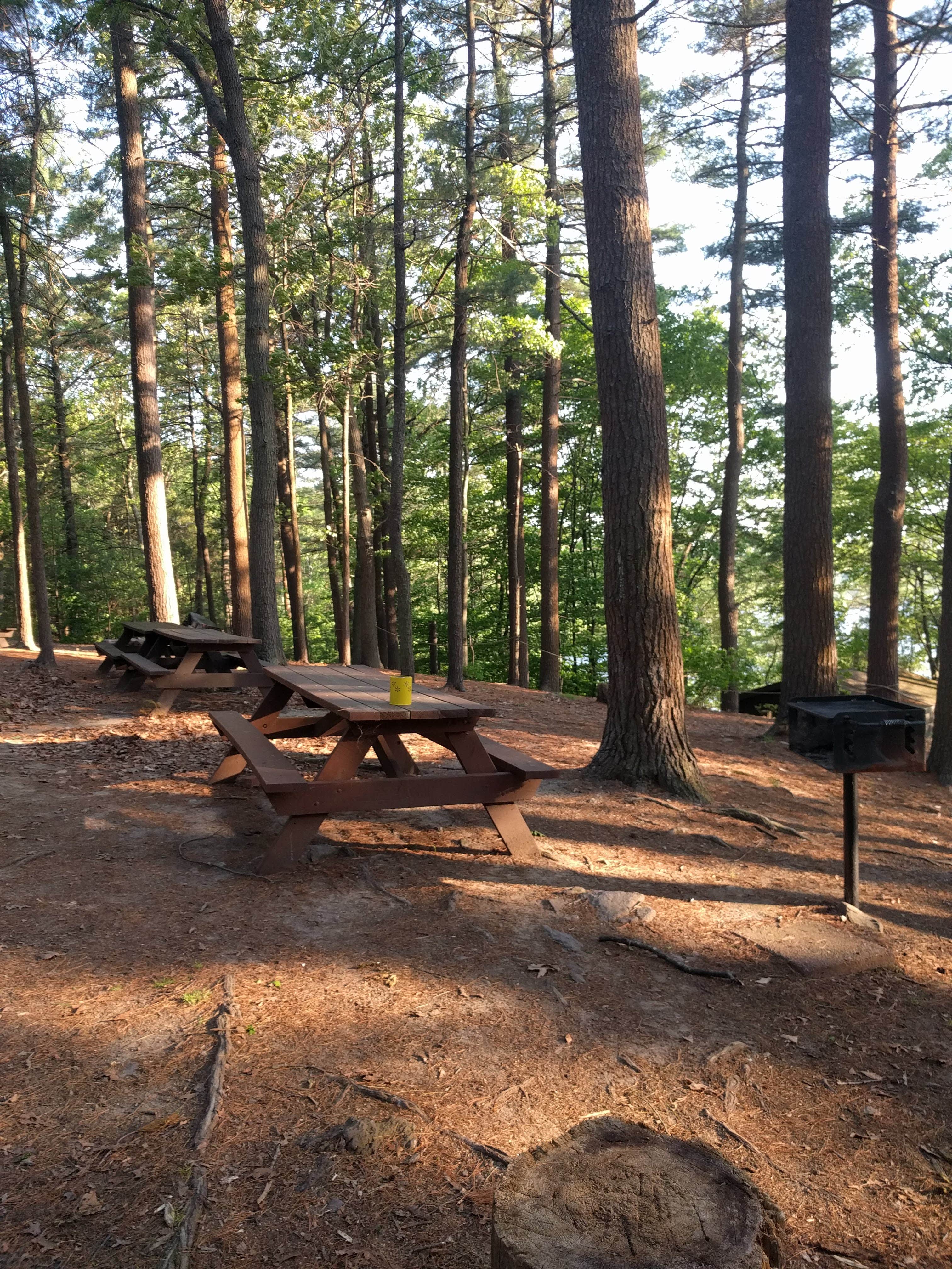 Camper submitted image from Ponkapoag Camp - 2