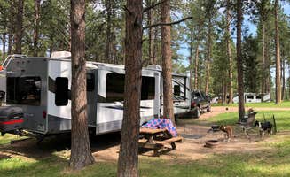 Lori C.'s photo at Big Pine Campground near Custer, SD