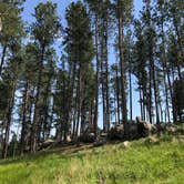 Review photo of Big Pine Campground by Lori C., July 4, 2021