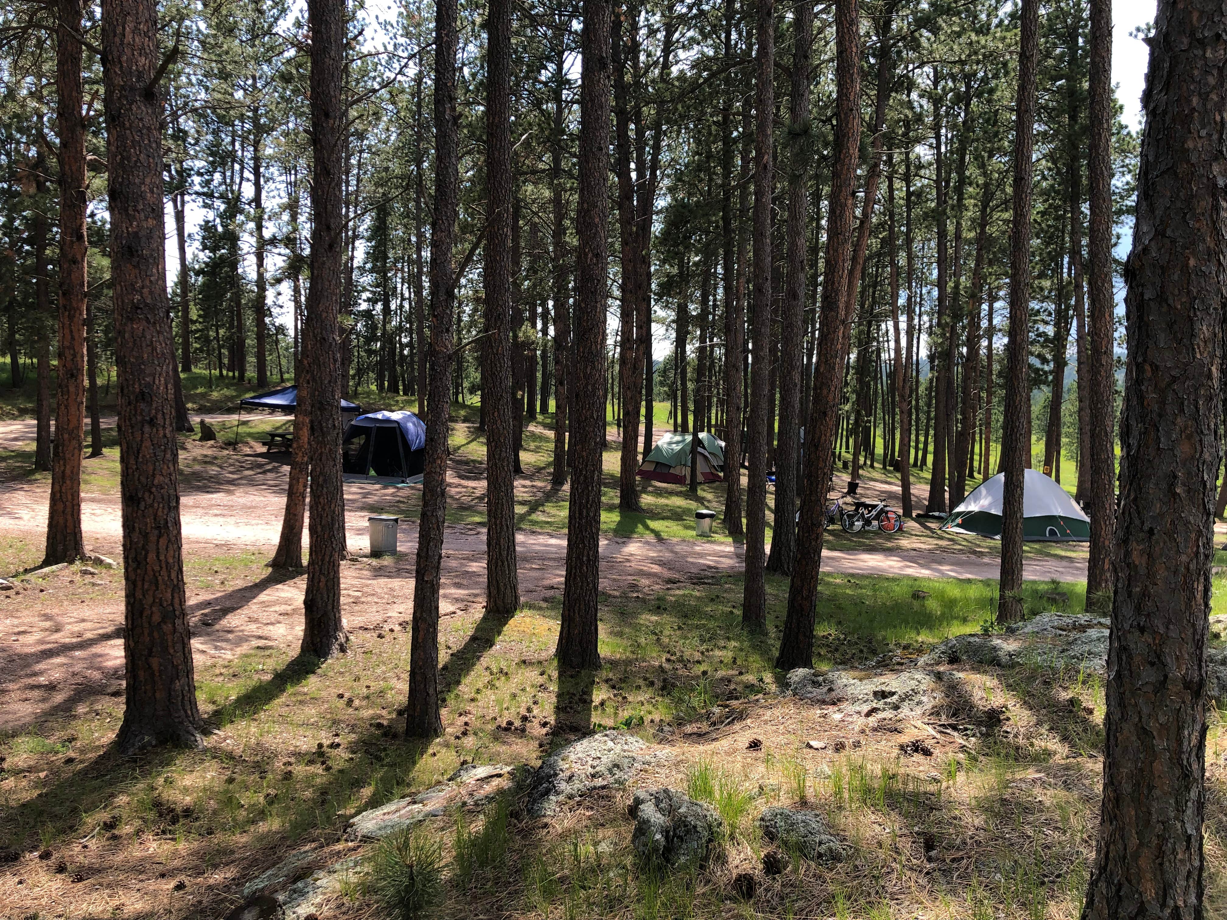 Lori C.'s photo of tent camping at Big Pine Campground near Silver City, SD