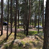 Review photo of Big Pine Campground by Lori C., July 4, 2021