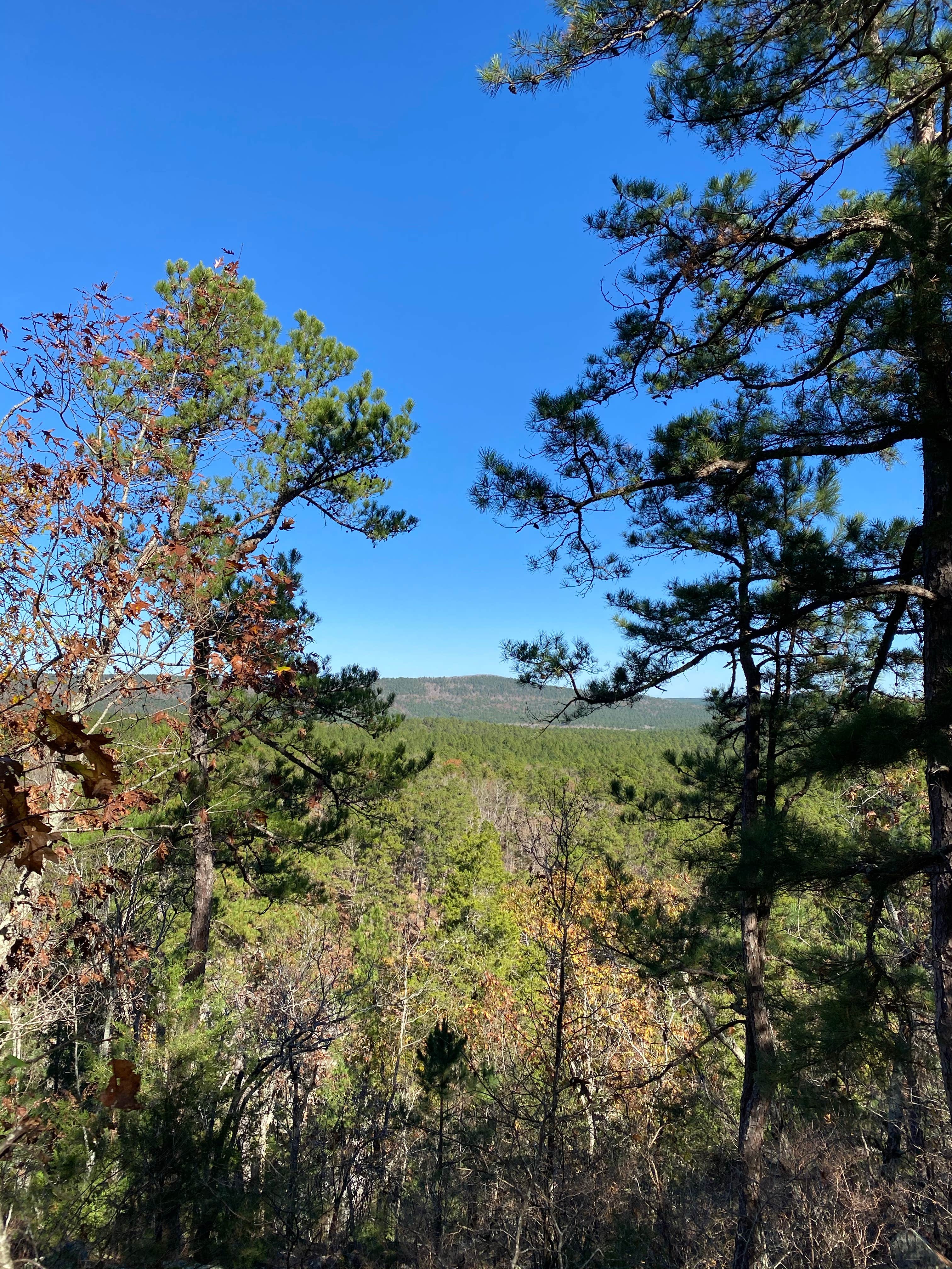 Camper-submitted photo at Lake Sylvia Recreation Area near Paron, AR
