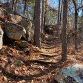 Review photo of Lake Sylvia Recreation Area by Cheri H., July 4, 2021