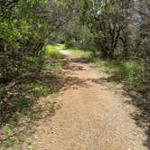 Review photo of Government Canyon State Natural Area by Salina G., July 4, 2021