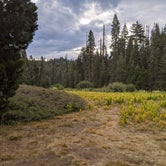 Review photo of Holey Meadow Campground by Oliver S., July 5, 2021