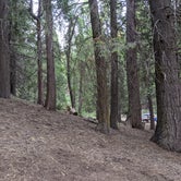 Review photo of Holey Meadow Campground by Oliver S., July 5, 2021