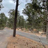 Review photo of Mather Campground — Grand Canyon National Park by Thomas W., July 5, 2021
