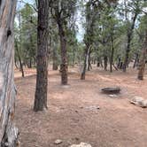 Review photo of Mather Campground — Grand Canyon National Park by Thomas W., July 5, 2021