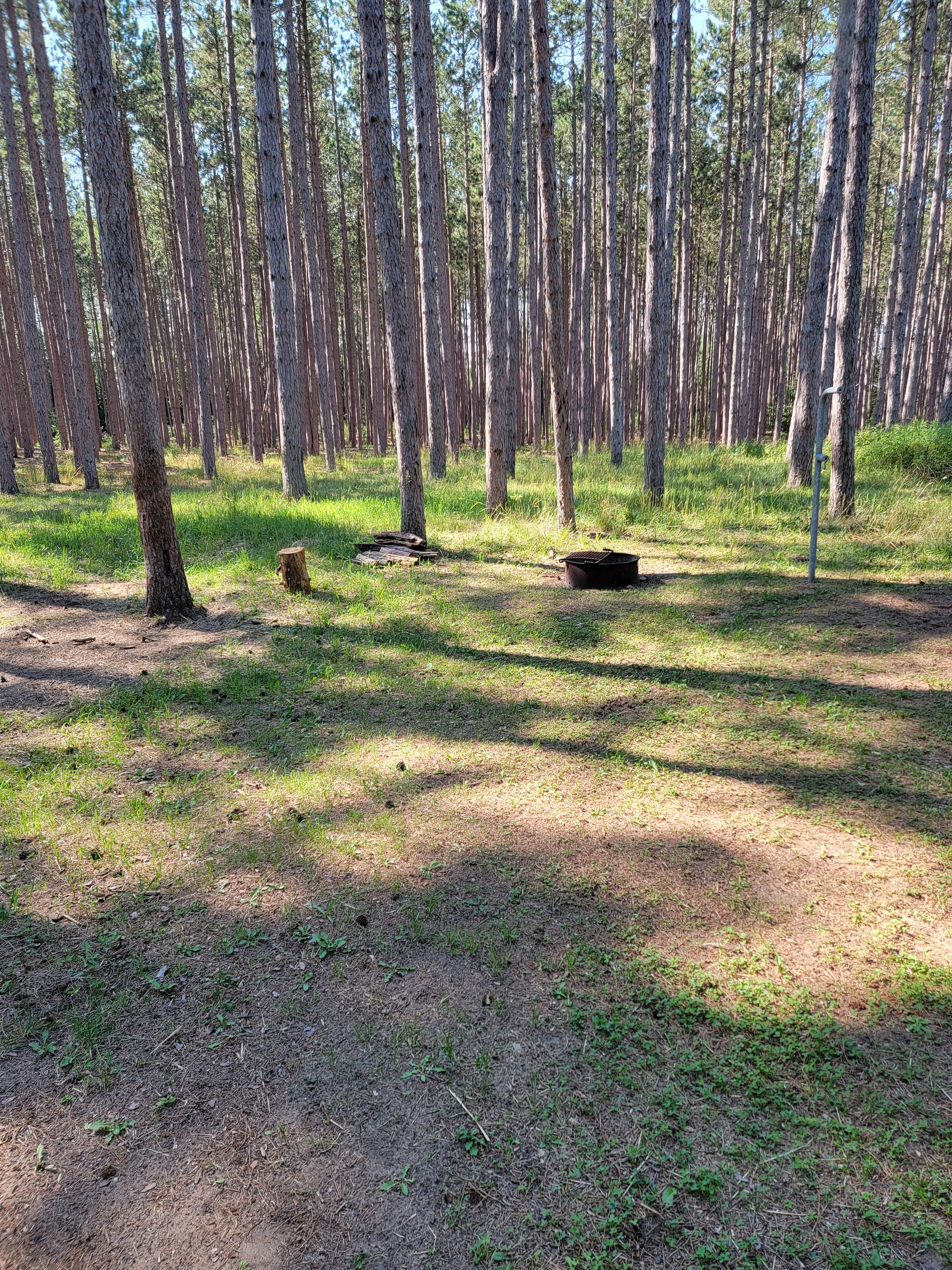 Camper submitted image from South Branch Trail Camp Group Site - 2