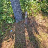 Review photo of South Branch Trail Camp Group Site by Sean R., July 5, 2021